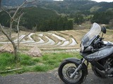 大山千枚田