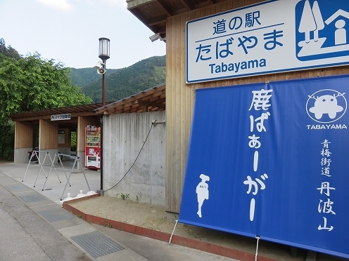 駒ヶ根ソースカツ丼ツーリング クロスカブ カブプロと一緒日記