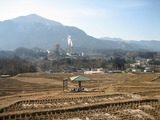寺坂棚田