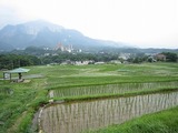 寺坂棚田
