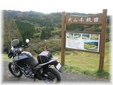 大山千枚田