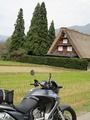 ・川郷