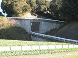ループ2