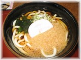 たぬきうどん