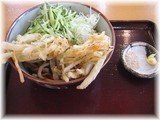 かき揚げ冷やしうどん