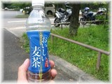 麦茶