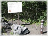 滝沢林道