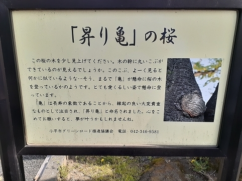 20200322_122830.jpg