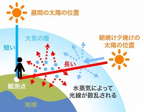 202011200055_box_img0_A.jpg