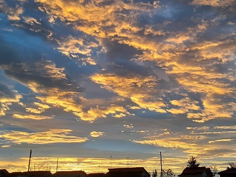 20201120_0620471.jpg