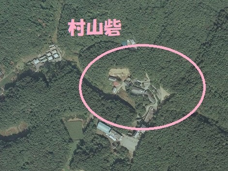 841.jpg