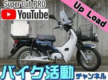 カブプロサムネイル2024.05.jpg