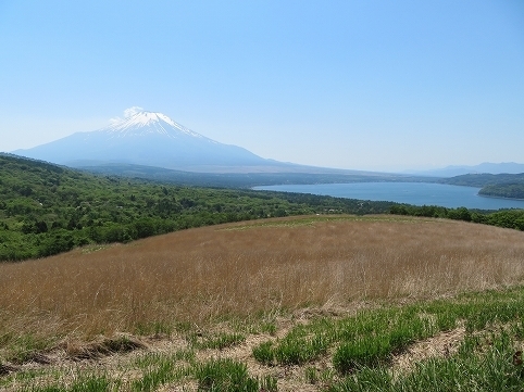 IMG_0063.jpg