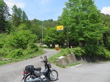 IMG_0113.jpg