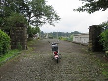 IMG_0337.jpg