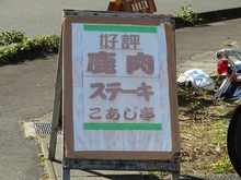 IMG_0417.jpg
