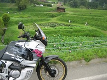 IMG_0502.jpg