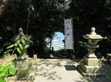 IMG_0638.jpg