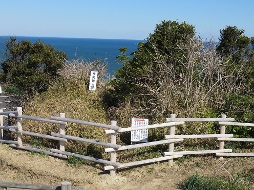 IMG_0805.jpg