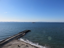 IMG_0841.jpg