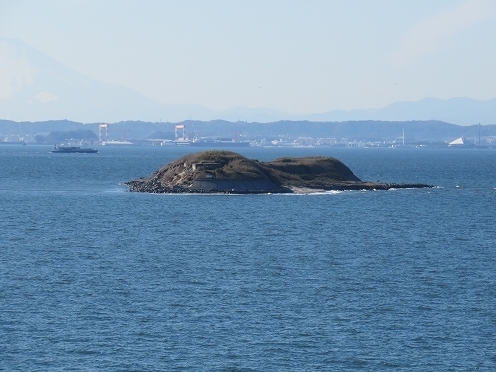 IMG_0842.jpg