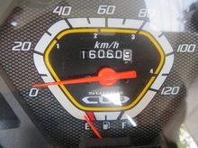 IMG_0990.jpg