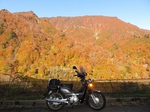 IMG_1124.jpg