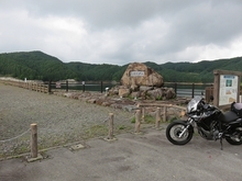 IMG_1290.jpg