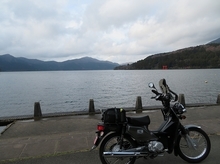 IMG_1352.jpg