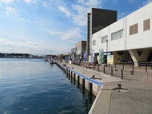 IMG_1491.jpg