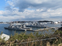 IMG_1515.jpg