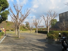 IMG_1521.jpg