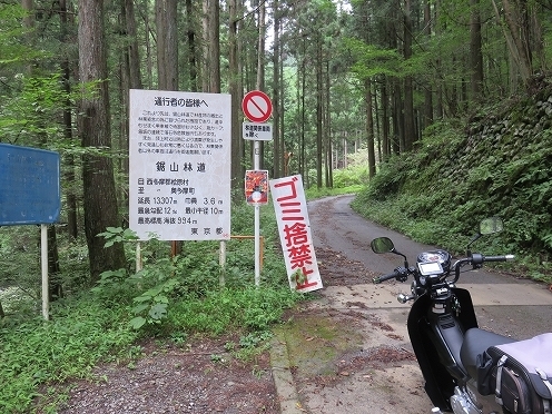 IMG_1537.jpg