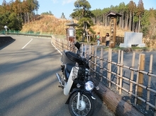 IMG_1563.jpg