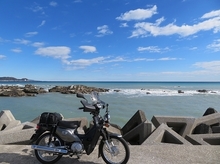 IMG_1611.jpg