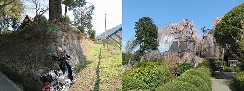 IMG_18881.jpg