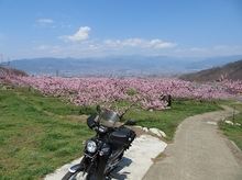 IMG_1899.jpg