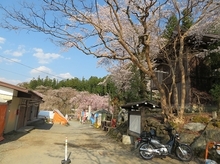 IMG_1932.jpg