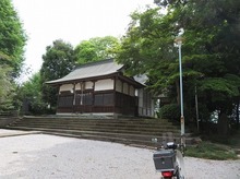 IMG_2048.jpg