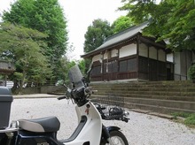 IMG_2051.jpg