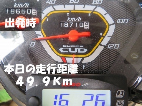 IMG_2067.jpg