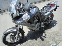 IMG_2071.jpg
