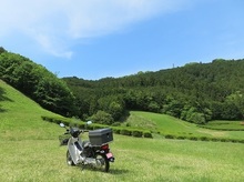 IMG_2110.jpg