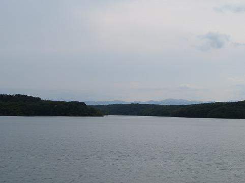 IMG_2147.jpg