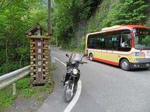 IMG_2179.jpg