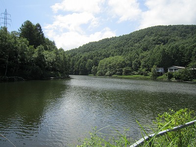 IMG_2179.jpg