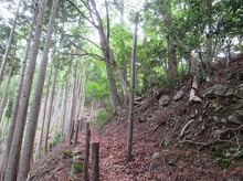 IMG_2195.jpg