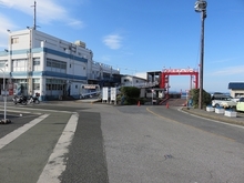 IMG_2252.jpg