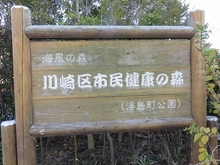 IMG_2278.jpg