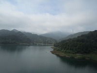 IMG_2318.jpg